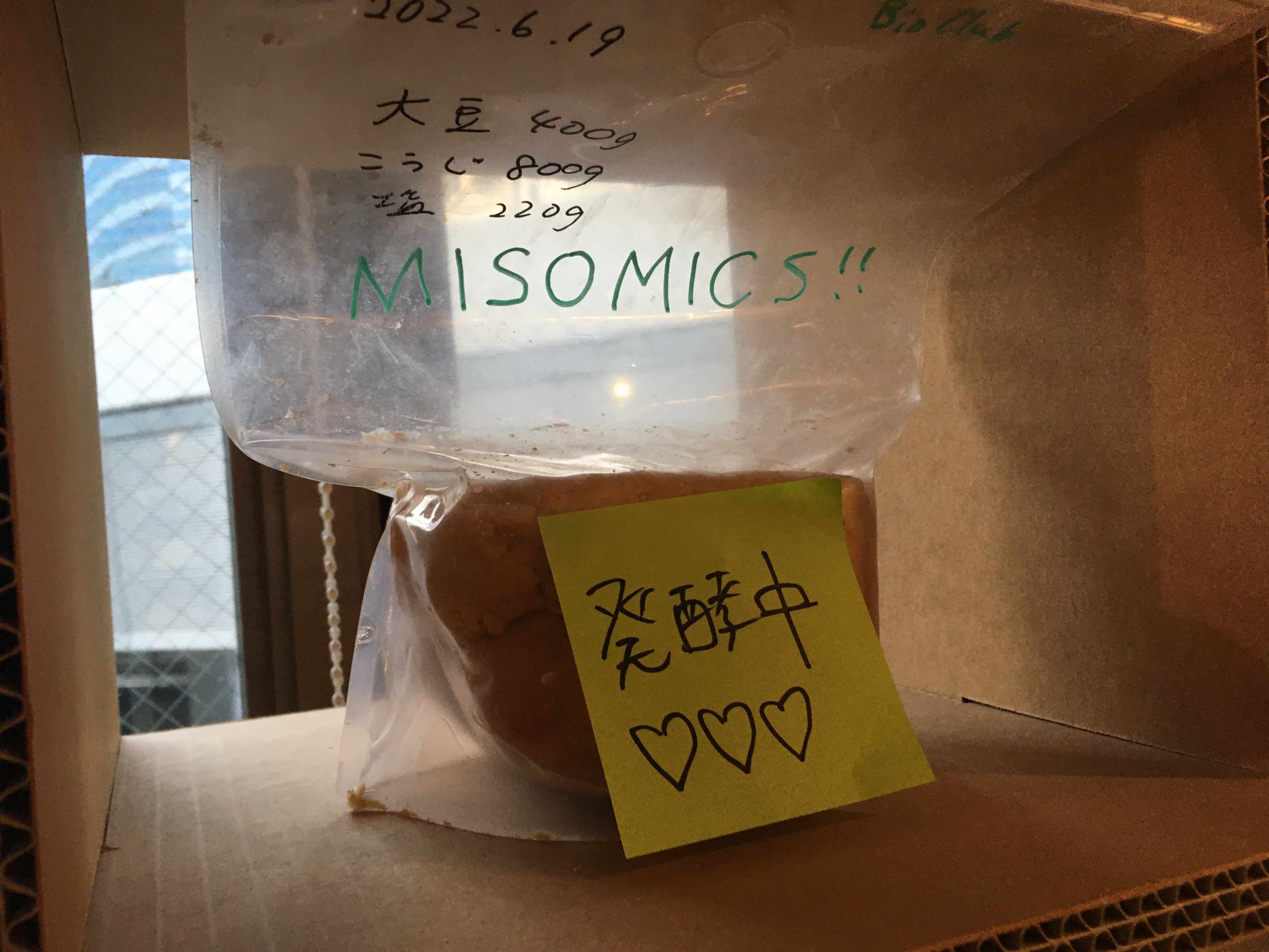 Misomics - 手前味噌作り2023