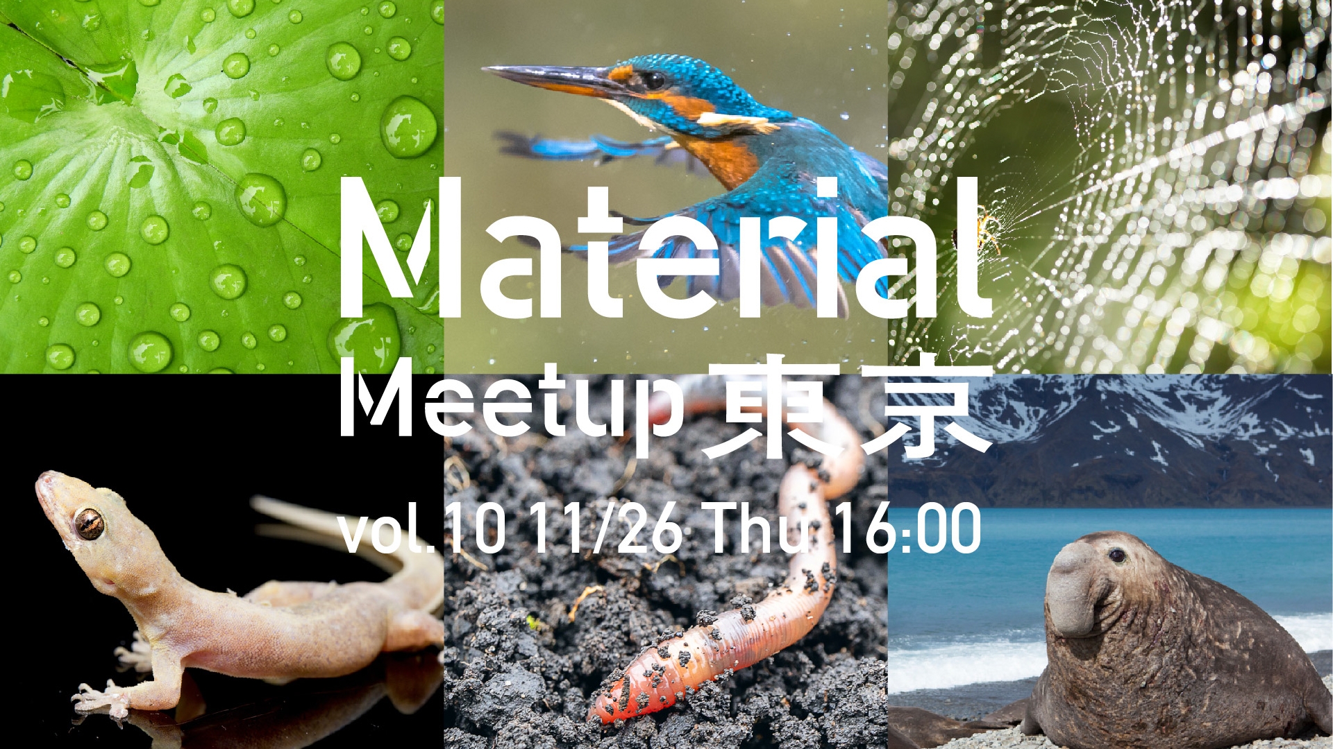 【オンライン開催】Material Meetup TOKYO vol.10「バイオミメティクス」